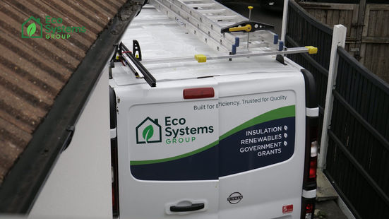 Eco Systems Group Case Study V1